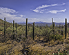_6454749 images/arizona/_6454749_small.jpg